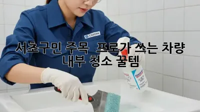 서초구민 주목! ✨ 프로가 쓰는 차량 내부 청소 꿀템🍯