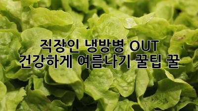 🥵 직장인 냉방병 OUT! 건강하게 여름나기 꿀팁 꿀🍯