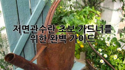 🪴 저면관수란? 초보 가드너를 위한 완벽 가이드! 💦